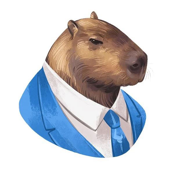 CEO - CAPIVARA DIGITAL