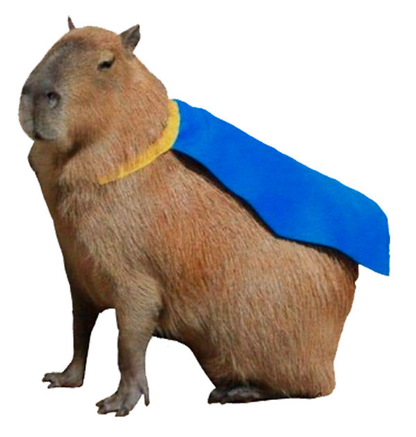 Capivara Digital Builder